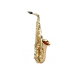 Yanagisawa A-WO20 UL Elite Sax Alto in Bronzo Slaccato