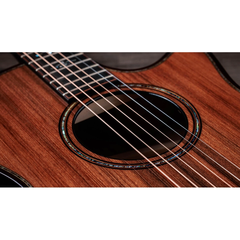 Taylor Builder's Edition 914ce Sinker Redwood top, Honduran RW