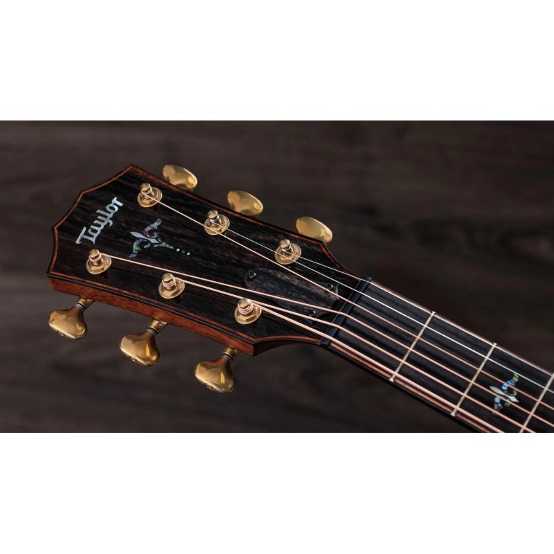 Taylor Builder's Edition 914ce Sinker Redwood top, Honduran RW