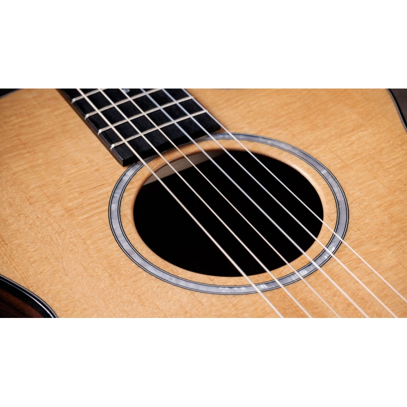Taylor 212ce-N Plus Corde in Nylon Grand Concert