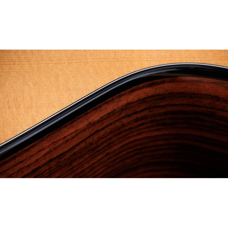 Taylor 212ce-N Plus Corde in Nylon Grand Concert