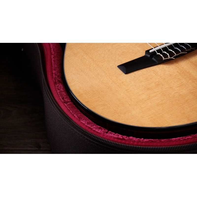 Taylor 212ce-N Plus Corde in Nylon Grand Concert