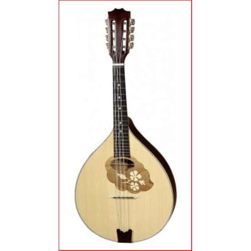 MANDOLA PORTOGHESE TOP ABETE MASSELLO