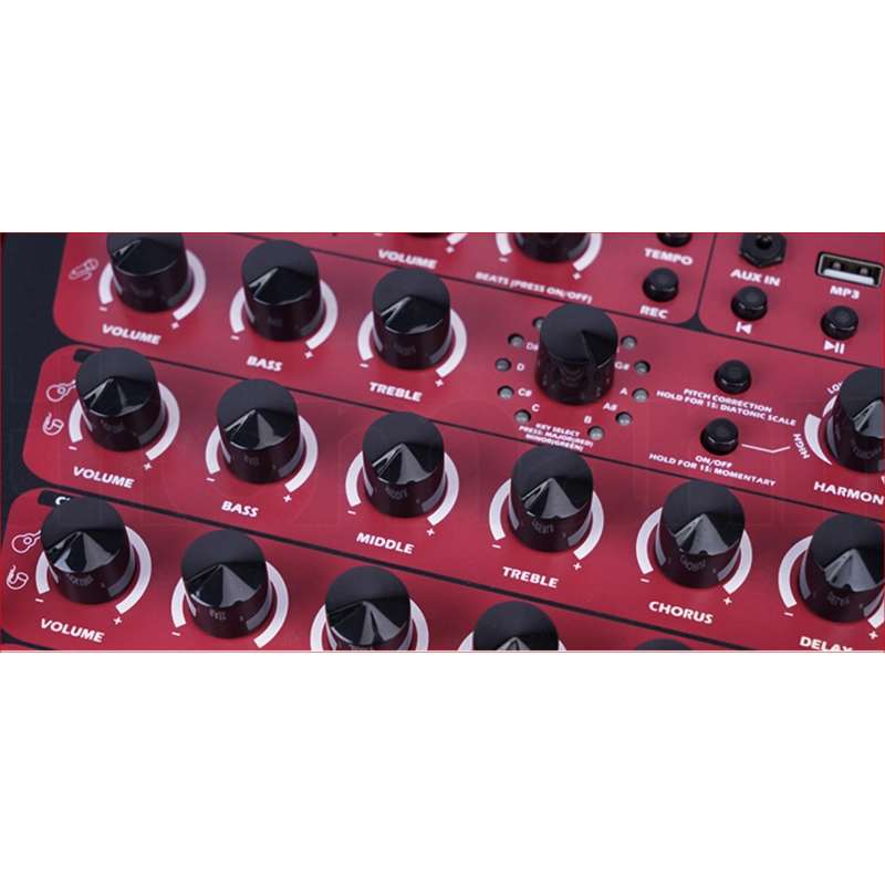 JOYO BSK150 Amplificatore Chitarra e Voce Multifunzione