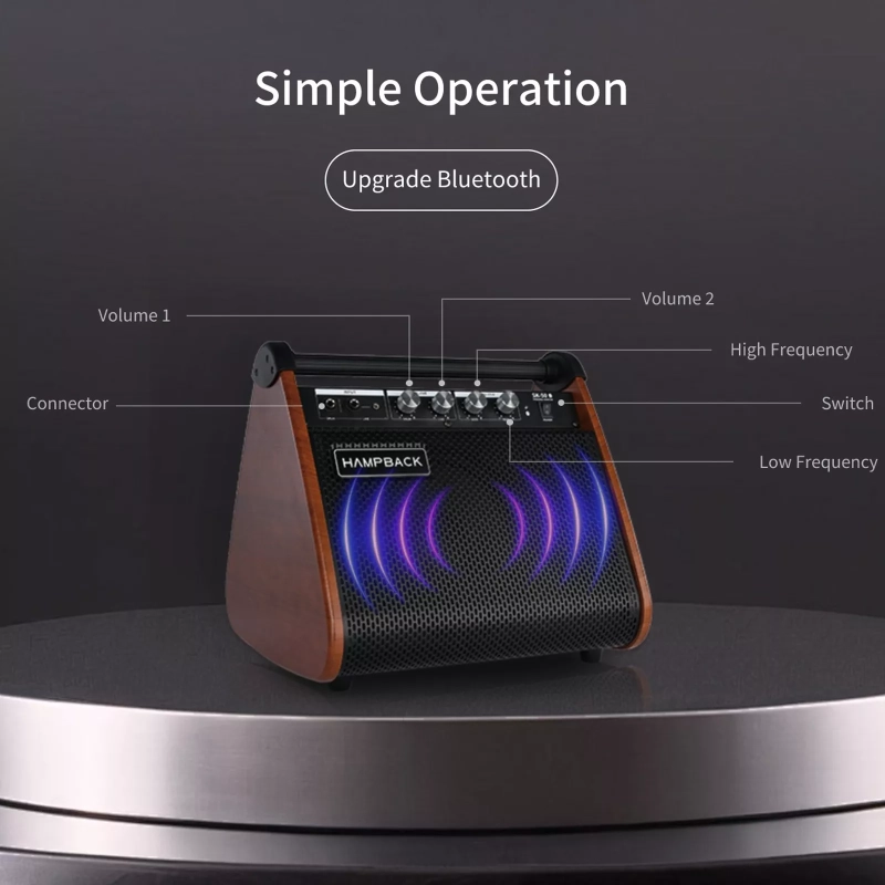 HAMPBACK SK50 Amplificatore per Batteria Elettronica 50 Watt