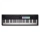 Novation Launchkey 61 MK4 Master Keyboard 61 Tasti
