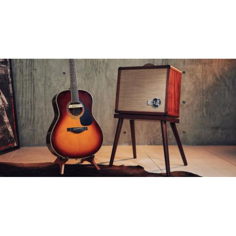 Taylor Amp Circa74 AV150-10