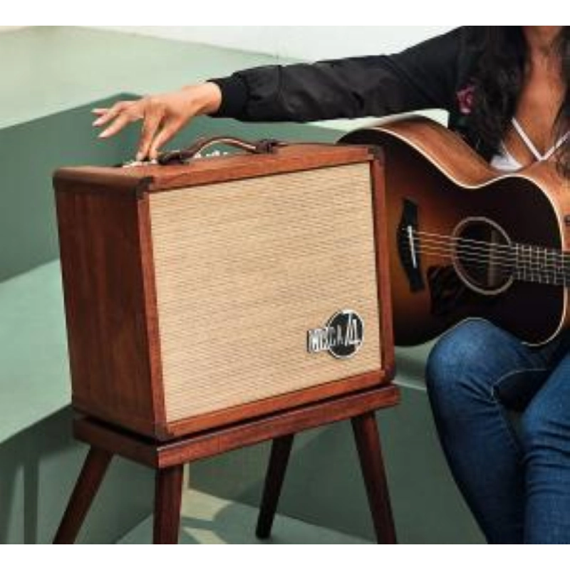 Taylor Amp Circa74 AV150-10