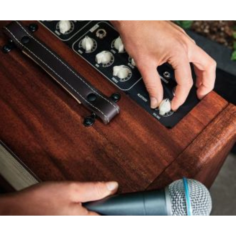 Taylor Amp Circa74 AV150-10