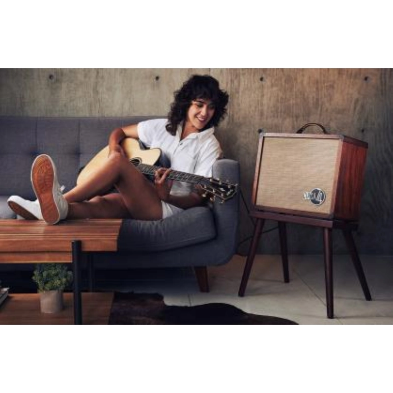 Taylor Amp Circa74 AV150-10