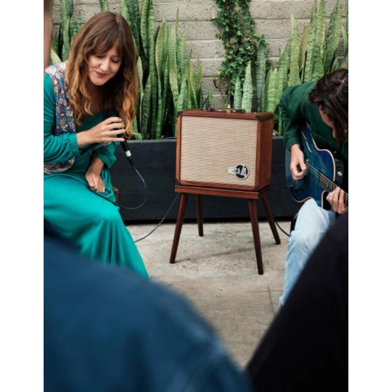 Taylor Amp Circa74 AV150-10