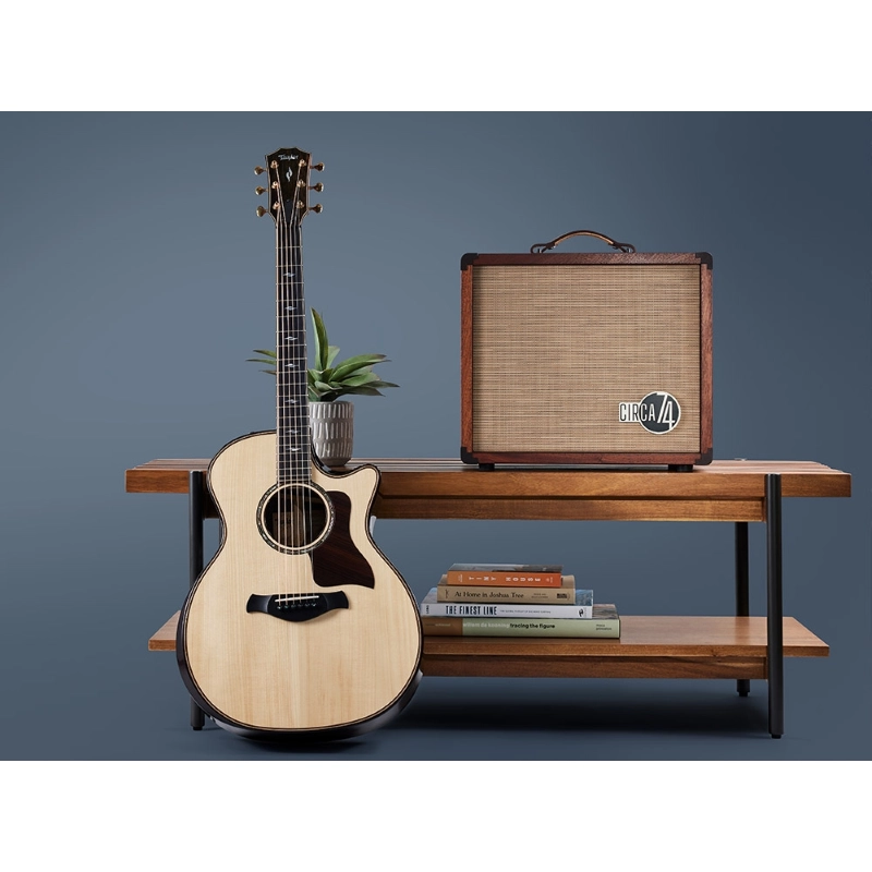 Taylor Amp Circa74 AV150-10