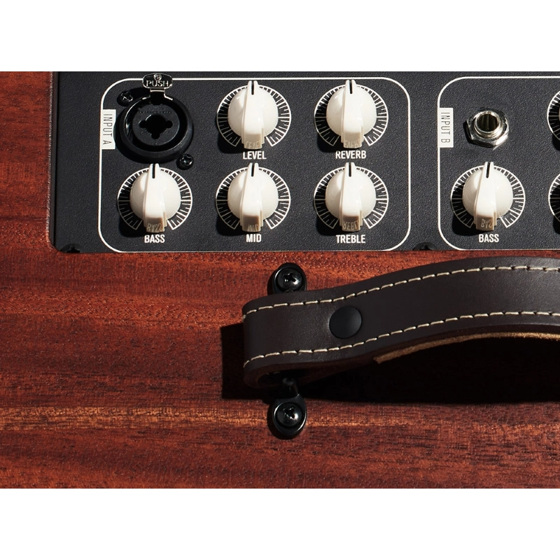 Taylor Amp Circa74 AV150-10