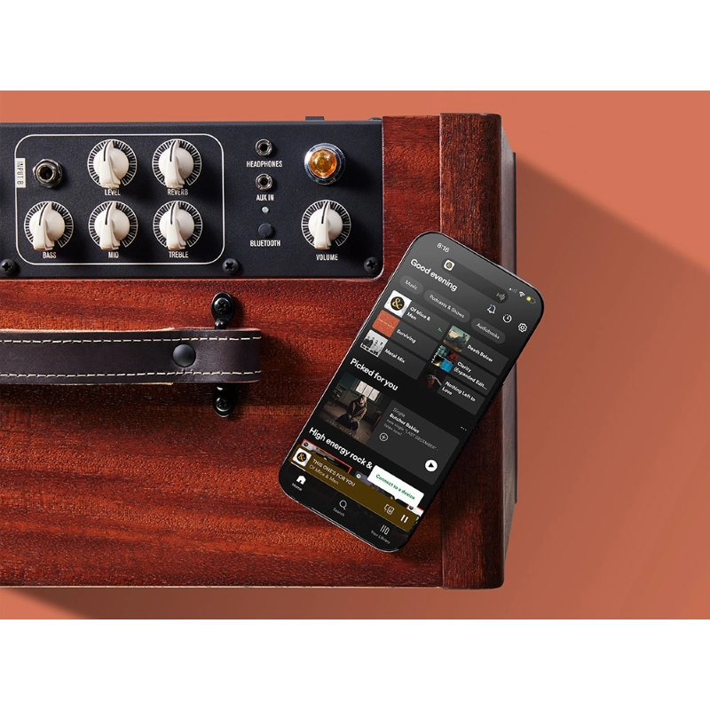 Taylor Amp Circa74 AV150-10