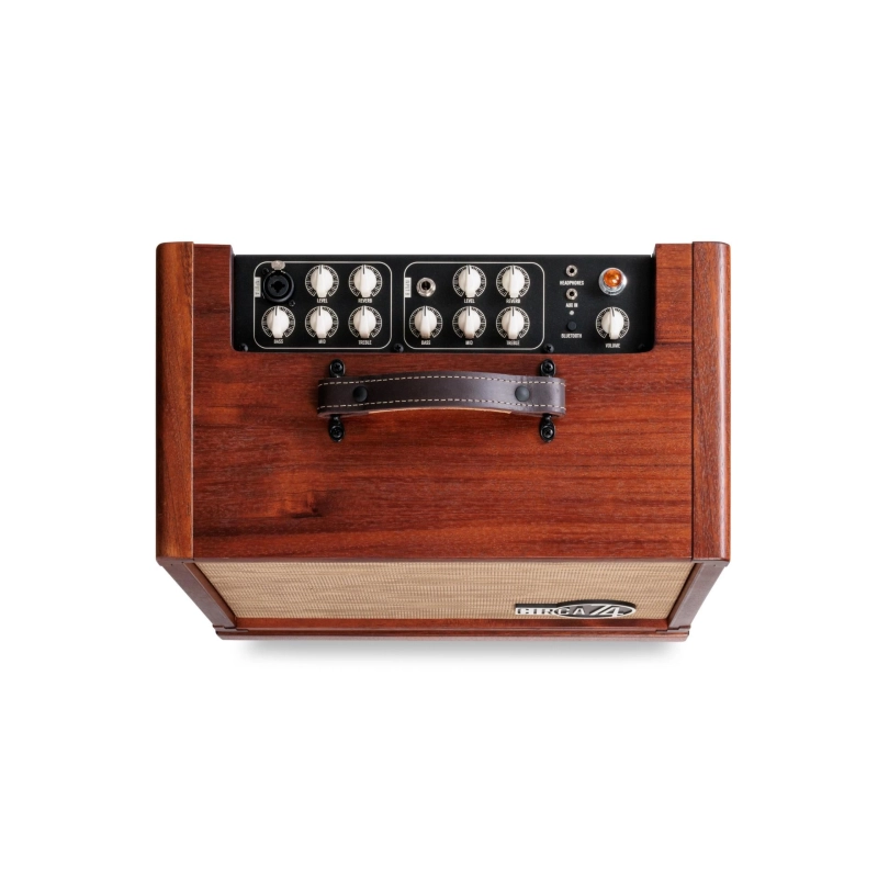 Taylor Amp Circa74 AV150-10