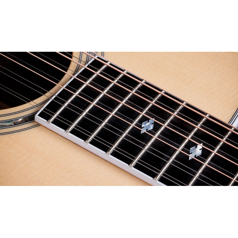 Taylor Legacy 855e Limited to 250 units worldwide 12 corde