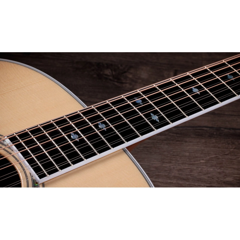 Taylor Legacy 855e Limited to 250 units worldwide 12 corde
