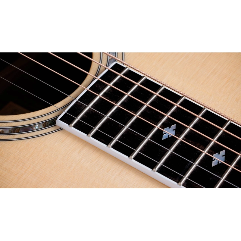 Taylor Legacy 815e Limited to 250 units worldwide