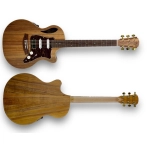 Cole Clark True Hybrid Thinline TL2EC-BLBL-HSS