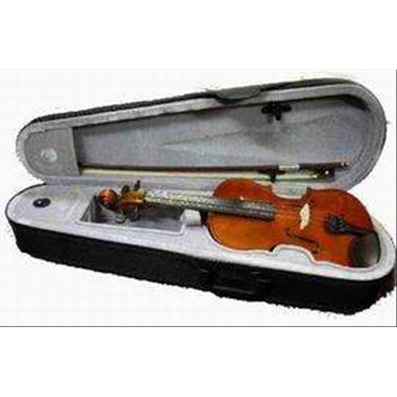 Johann Bruck Violino 4/4 P4010ES Settato Corde Thomastik Dominant