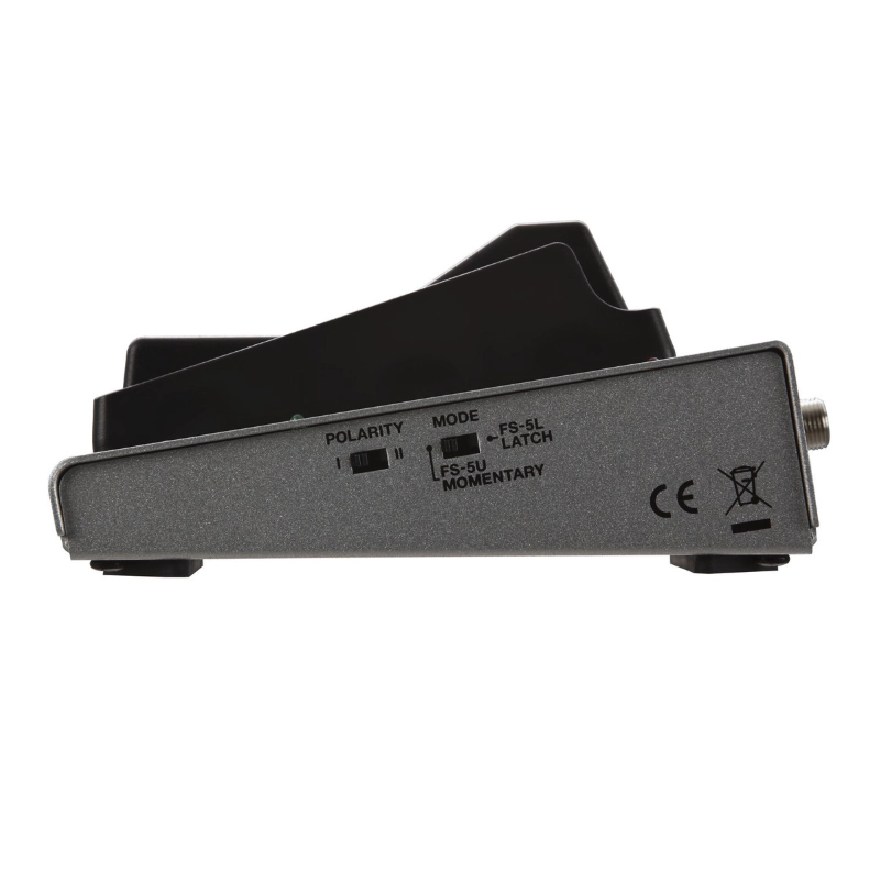 Boss FS7 Footswitch a 2 Pulsanti