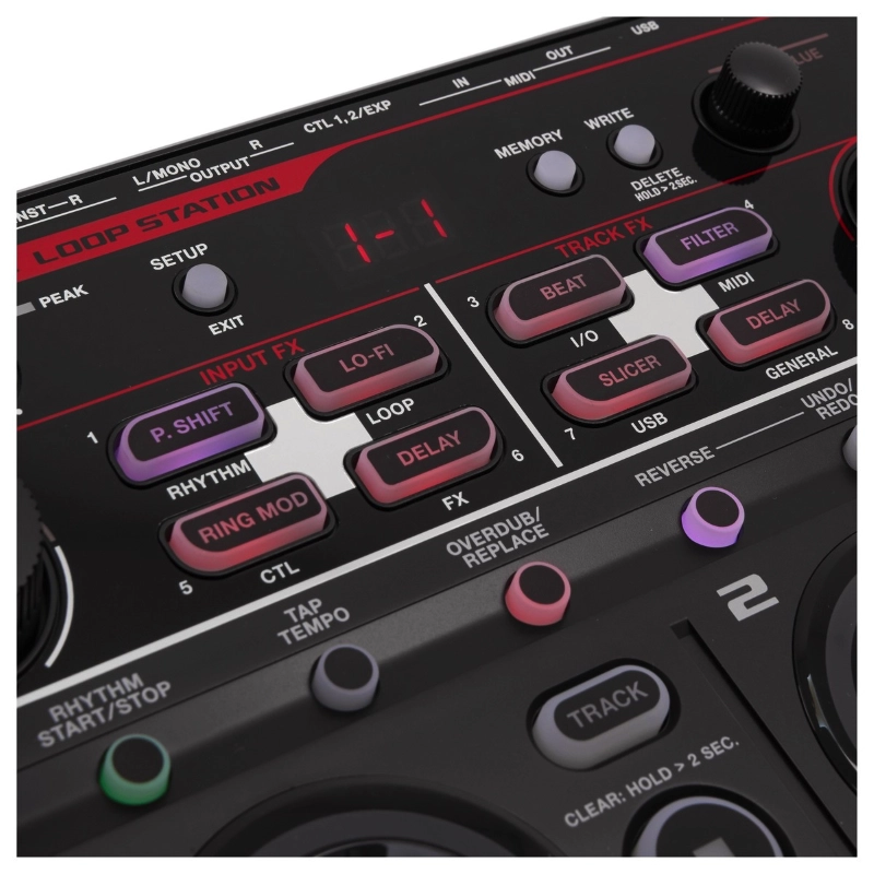 Boss RC202 Loop Station e Multieffetti da Tavolo