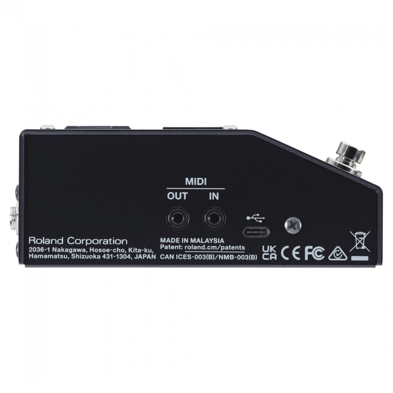 Boss SDE3000D Dual Digital Delay Effetto Delay Digitale a Pedale per Chitarra