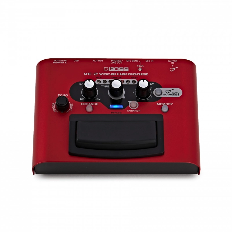 Boss VE2 Vocal Harmonist Multieffetto Vocale per Voce