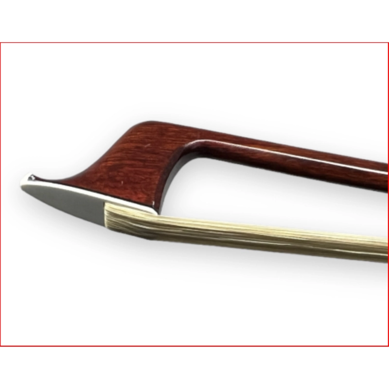 EASTMAN BC304 Arco Cello Carbon Fiber 4/4 Pernambuco Veneer