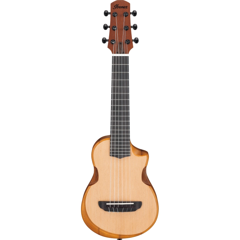 Ibanez AUP10NOPN Guitalele Open Pore Natural