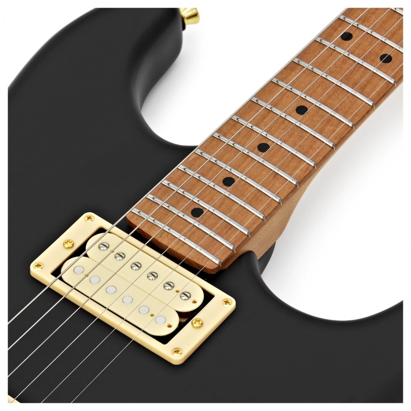 Jet Guitars JS700MBK HH Matt Black Roasted Maple