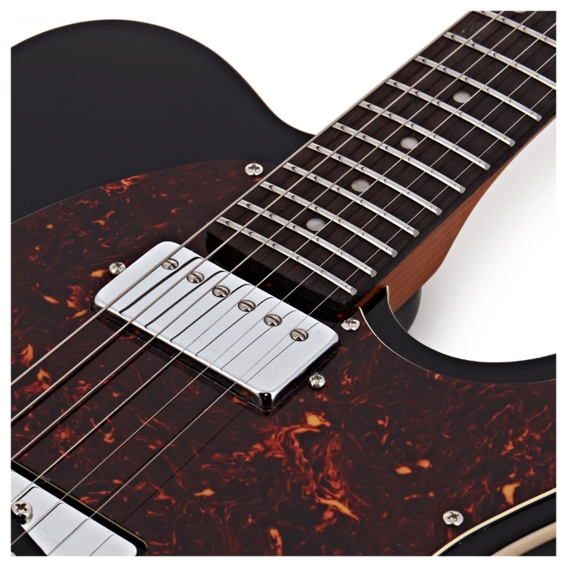 Jet Guitars JT350-BK-R SH Black Roasted Maple Tastiera in Palissandro