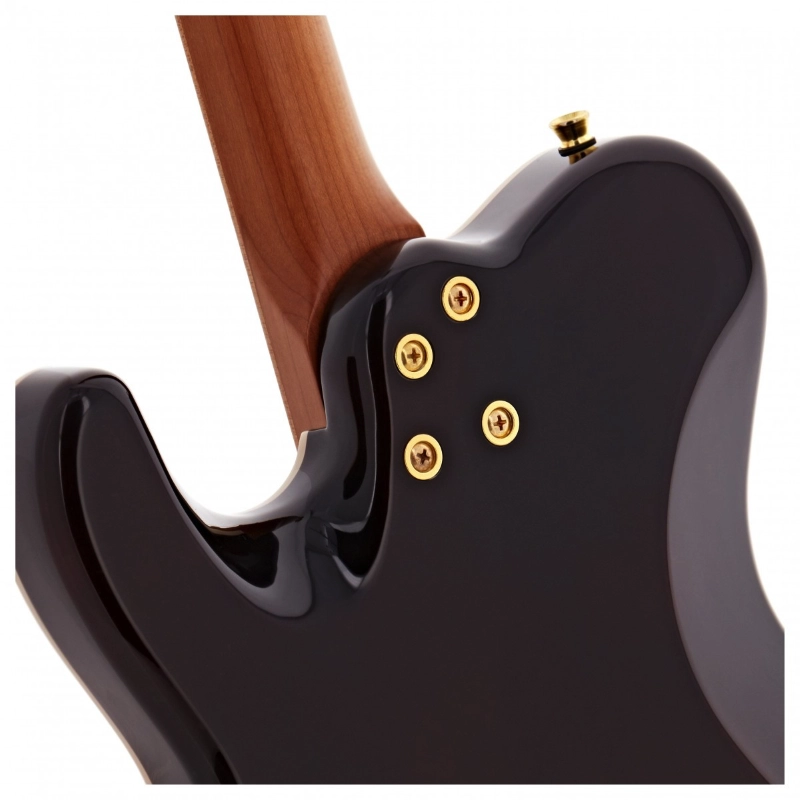 Jet Guitars JT600BS-G SS Brownsunburst Roasted Maple Flame Top