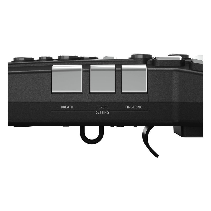 Roland AE05 Aerophone GO Strumento a Fiato Digitale con Ditteggiatura da Sassofono