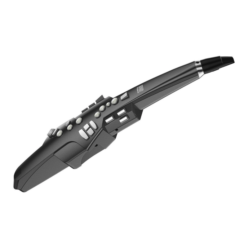 Roland AE10G Aerophone Aerofono Digitale con Ditteggiatura da Sassofono Nero Grafite