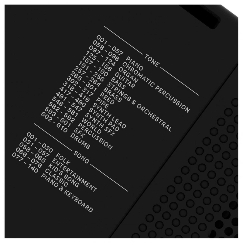 Roland EX10 Tastiera Arranger 61 Tasti