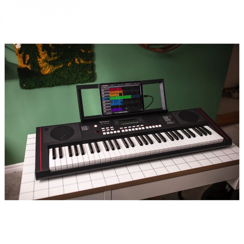 Roland EX10 Tastiera Arranger 61 Tasti