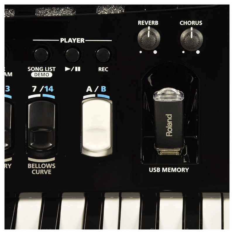 Roland FR4XB BK Fisarmonica 92 Bottoni 120 Bassi Nera