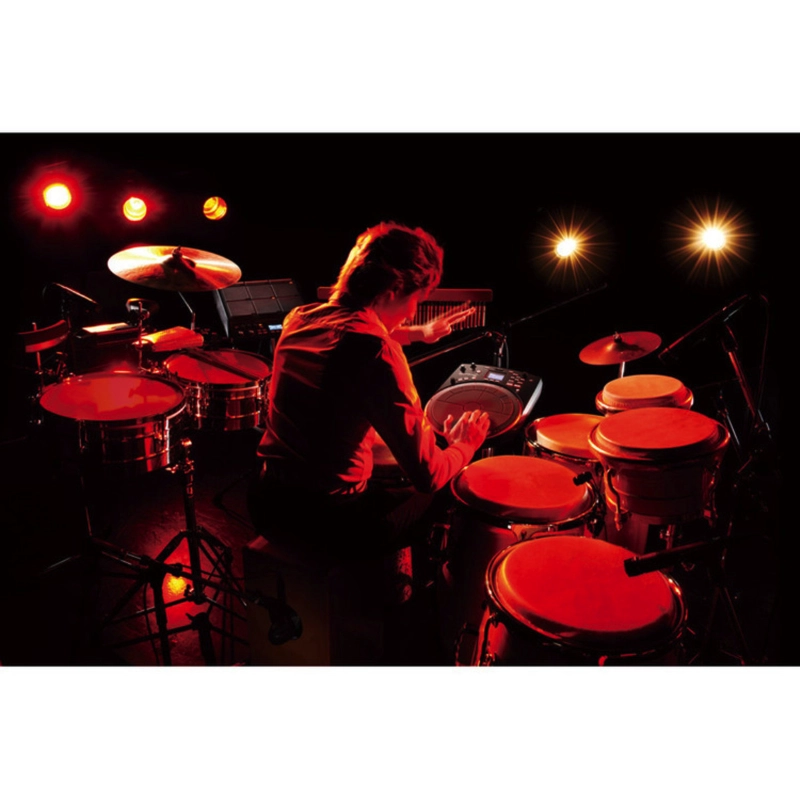 Roland HPD20 Percussione Digitale 13 Pad