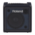 Roland KC80 Amplificatore 10" per Tastiera per Canali 50W