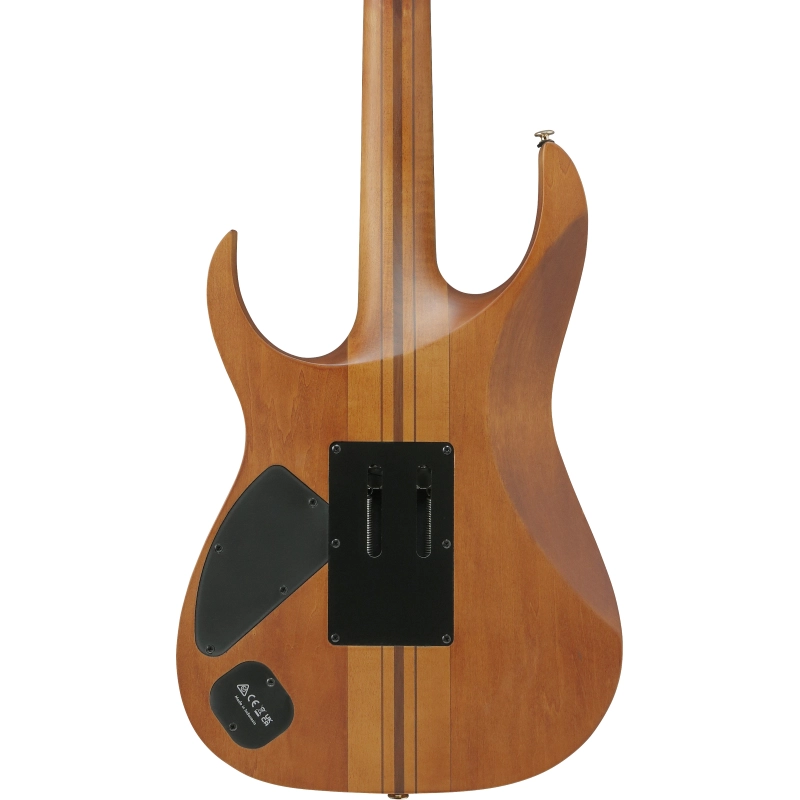 RGT1220PB_ABS_1P_02_G