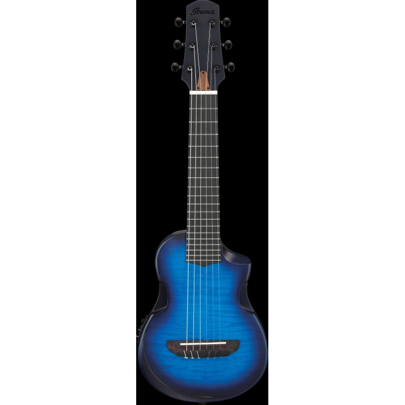 AUP10FMNE_TBO_2Y_01_B