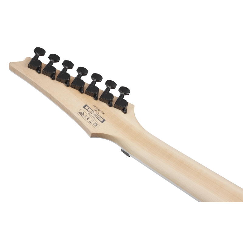 RG7420EX_BKF_1P_01_K