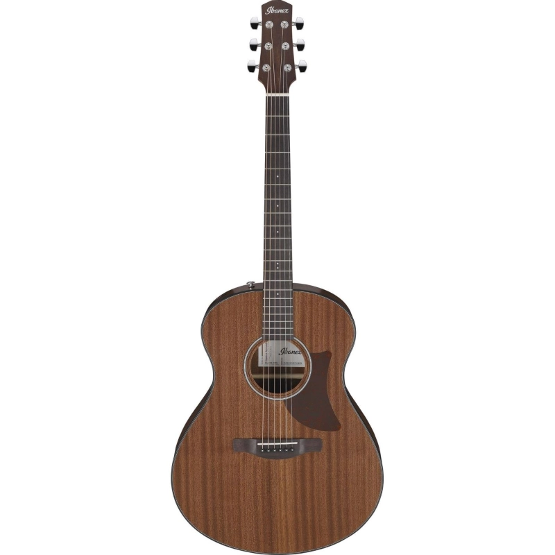Ibanez AAM54OPN Chitarra Acustica Open Pore Natural