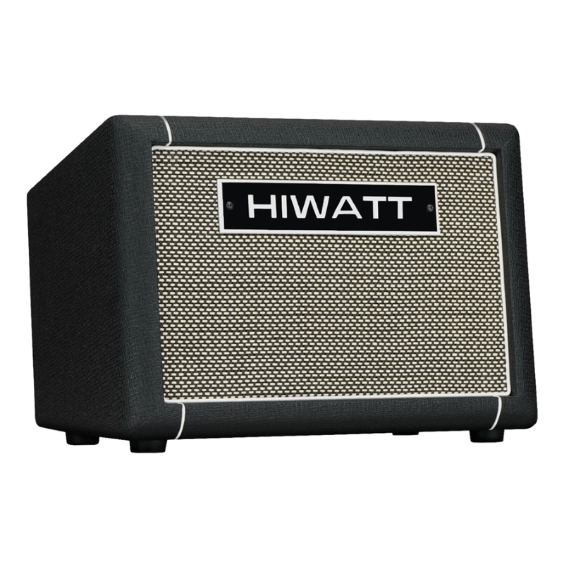Hiwatt LeedsAC60 Combo per Chitarra Acustica 1x8 60 W