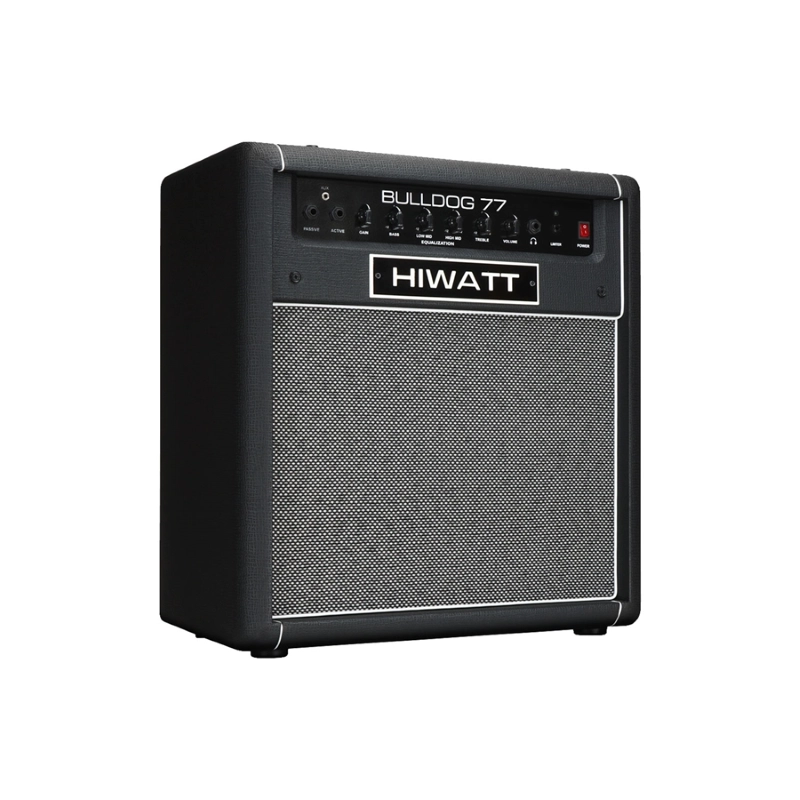 Hiwatt Bulldog77 Combo per basso 1x12 100 W
