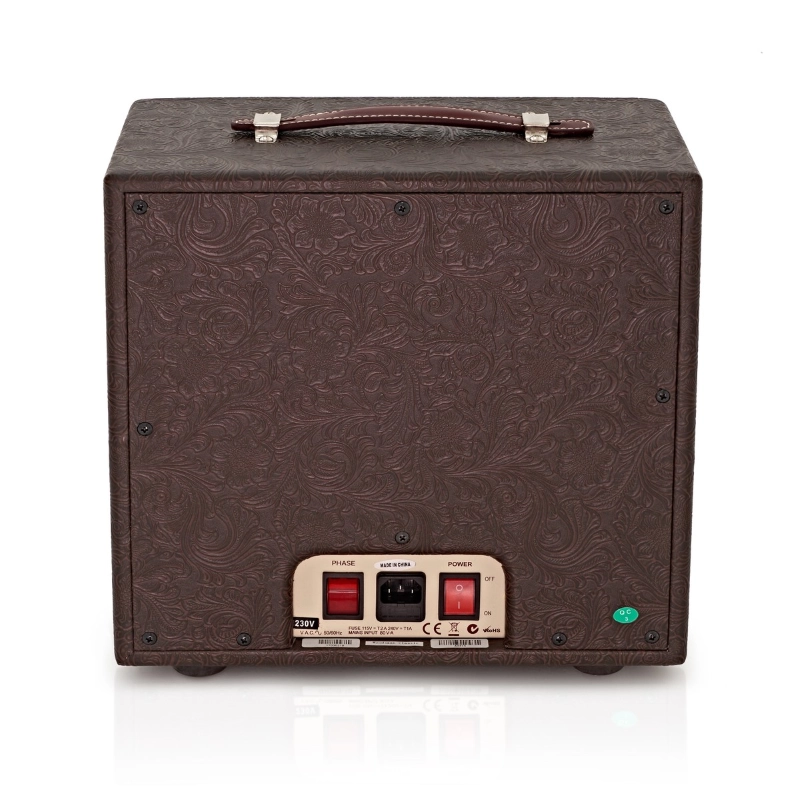 Ashdown AA-Woodsman-Classic Amplificatore per Chitarra Acustica