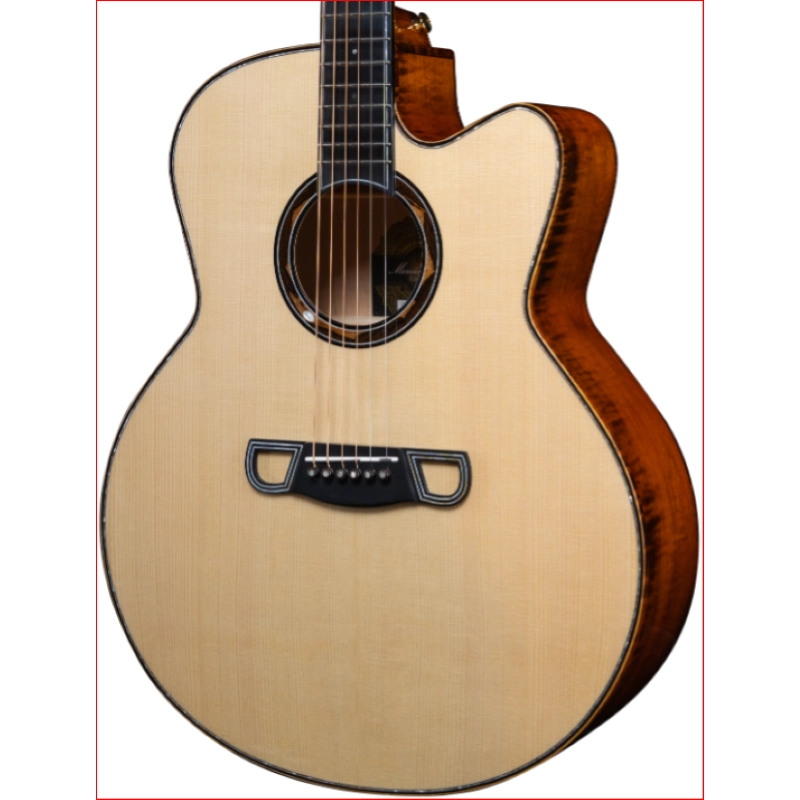 MERIDA DTJCEH Jumbo Elettrificazione Fishman PSY101