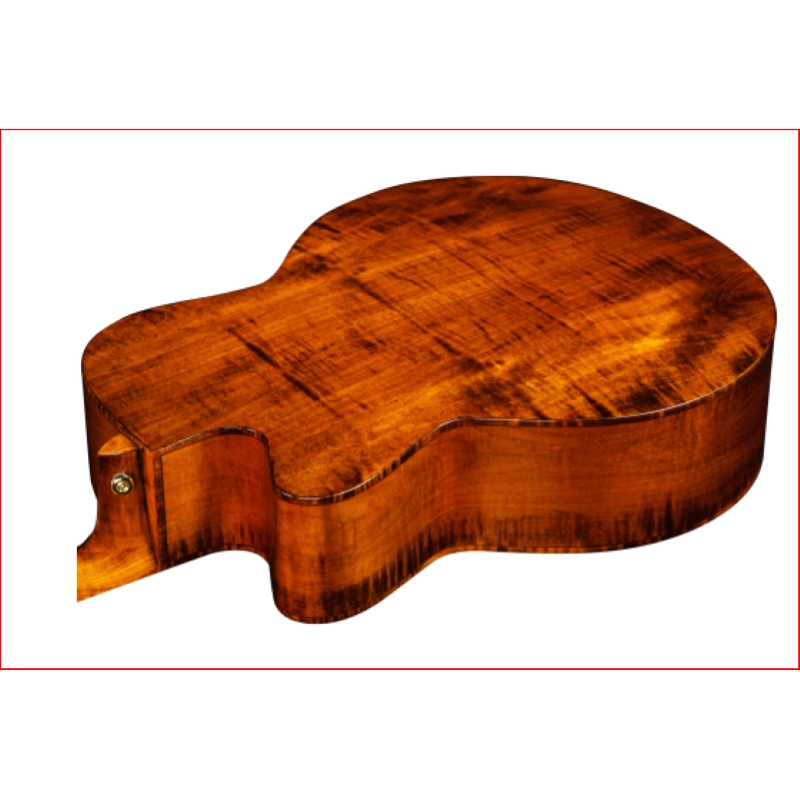 MERIDA DTJCEH Jumbo Elettrificazione Fishman PSY101