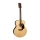 Martin & CO. GRAND J-16E-01 12 STRING